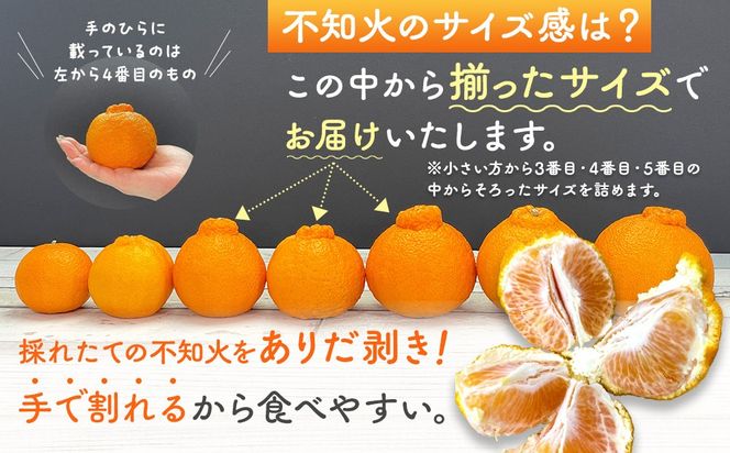 不知火 (しらぬい) 秀品 玉ぞろい 箱込 5kg (内容量約4.4kg)  和歌山県産 産地直送［みかんの会］ AX137