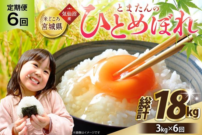 6回 定期便 米 宮城県産 とまたんのひとめぼれ 3kg 総計18kg [サンフレッシュ小泉農園 宮城県 気仙沼市 20566083] ひとめぼれ ブランド米 白米 精米 ご飯 ごはん コメ こめ お米 小分け 家庭用