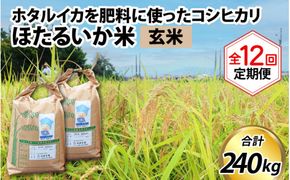 【訳あり】ほたるいか米（玄米20kg）×12回 計240kg【12ヶ月定期便】