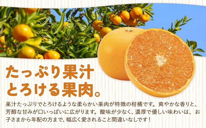 【CF】ハウス追熟 天草オレンジ 選べる内容量 4玉～9玉入 10玉～15玉入 廣畠農園《1月中旬頃出荷予定》徳島県 佐那河内村 みかん ミカン 蜜柑 柑橘 フルーツ 果物 くだもの【配送不可地域あり】※離島---sanagouchi_hhn_5_1hk---