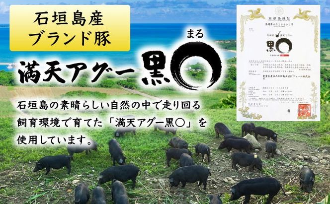 満天アグーお肉ゴロゴロカレー230g×3袋 SM-001