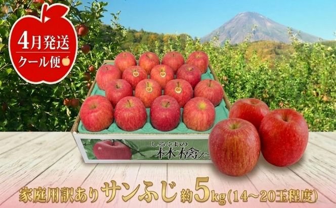 【クール便】4月発送 白熊 訳あり家庭用 サンふじ 約5kg 糖度13度【青森りんご・ 果物 フルーツ 食後 デザート シャキシャキ ジューシー りんごの王様 】