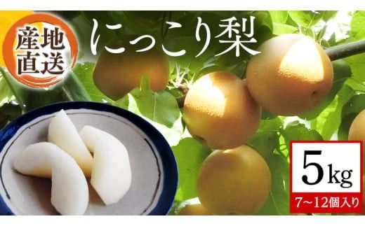 【 産地直送 】 にっこり梨 5kg 先行予約 梨 なし ナシ [CZ003ci]