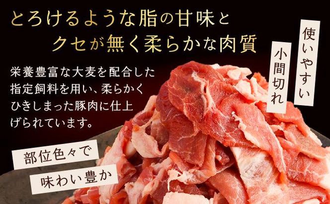 【京都特産ぽーく】京都ぽーく 豚肉こま切れ（225g×4パック 計900g） [ 京都 こだわりの京都府産 小分け 人気 おすすめ お肉 たっぷり 使いやすい ギフト プレゼント お取り寄せ 通販 送料無料 ふるさと納税 ] 261009_B-FL07