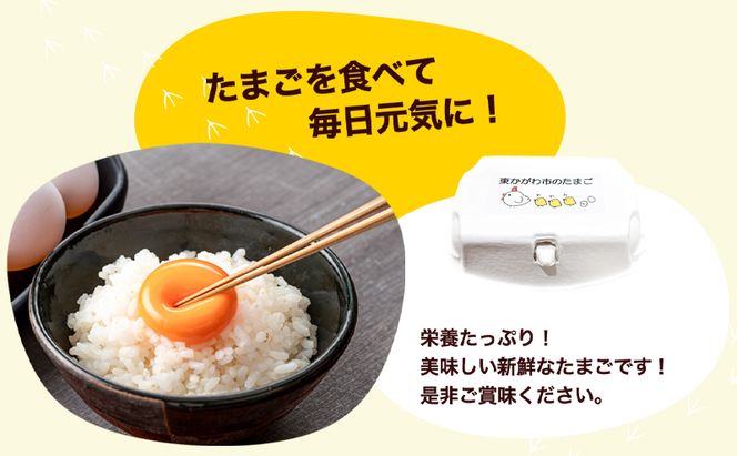 東かがわ市のたまご「鶏卵Mサイズ（10個×5P）」割れ保障1p含む 3ヵ月定期便 たまご 卵 鶏卵 3回 定期便