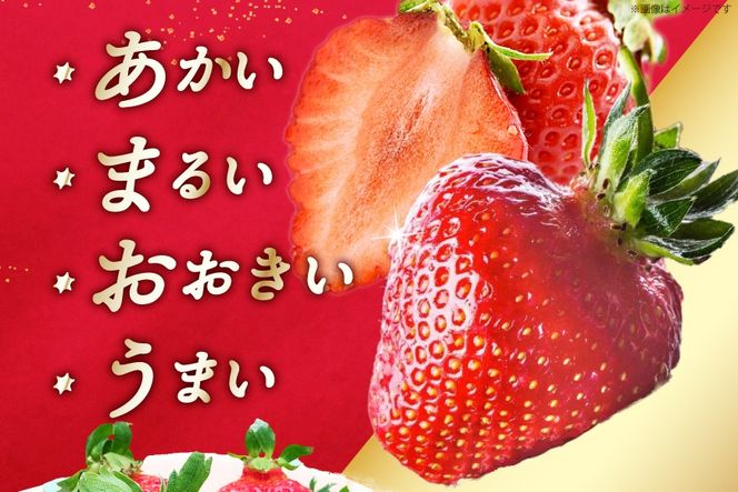 先行受付 博多あまおう 約270g×2 / エイチアンドフューチャーズ / 福岡県 筑紫野市 [21760413] 果物 フルーツ いちご イチゴ 苺 朝採り 新鮮