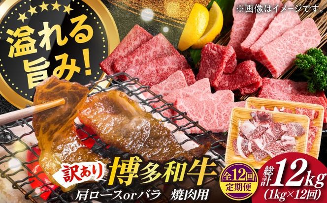 【全12回定期便】【訳あり】博多和牛 焼肉 切り落とし1kg（500g×2p）《築上町》【MEAT PLUS】肉 お肉 牛肉[ABBP156]