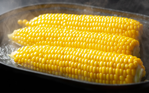 [先行受付]2026年産 スウィートコーン!「はちみつのような甘さのミエルコーン」11本【配送不可地域：離島】  BHRG004