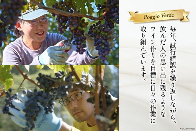 白 ワイン フェリーチェ ビアンコ 750ml 4本 [Poggio Verde（ポッジョ ヴェルデ） 長野県 池田町 48110682] 白ワイン わいん 国産ぶどう使用 お酒 酒 アルコール