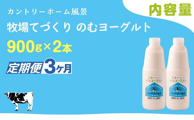 【定期3ヶ月】のむヨーグルト 900g ×2 SKB032