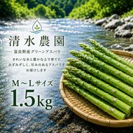 【2027年発送】ふらの産 採れたて グリーンアスパラ(M～Lサイズ混合)約1.5kg [清水農園] アスパラ アスパラガス 野菜 新鮮 甘い 北海道 富良野