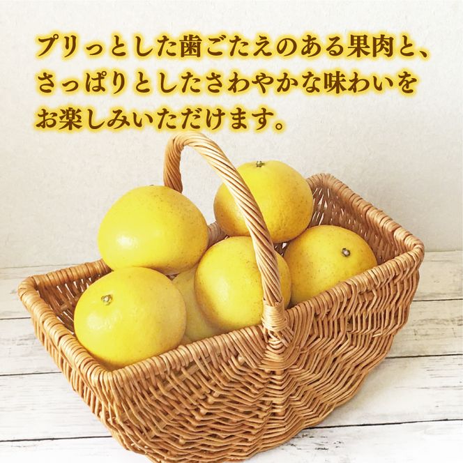数量限定 先行予約 訳あり 文旦 8.5kg 10000円 わけあり ぶんたん みかん mikan 蜜柑 ミカン 産地直送 国産 農家直送 期間限定 特産品 ゼリー ジュース アイス 等に 人気 限定 甘い 果実 果肉 フルーツ 果物 柑橘 おいしい 美味しい ジューシー サイズ ミックス あいなんマザーズ 愛南町 愛媛県