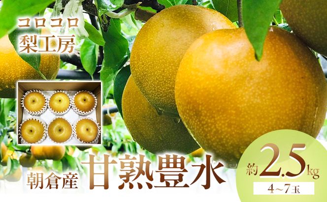 梨 豊水 まるで食べる梨ジュース！！ 甘熟 豊水梨 約2.5kg 4～7玉入 配送不可 離島 ナシ 果物 フルーツ 先行予約 