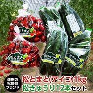 【煙樹の松野菜ブランド】
松とまと（アイコ）松きゅうりセット 2025年11月中旬～2026年6月上旬頃に順次発送予定