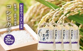 【射水市】【射水の美味しいお米】若竹のお米 R8年度産 コシヒカリ20kg（5kg×4）【精米】 ※離島への配送不可 ※2026年10月上旬～10月下旬頃に順次発送予定