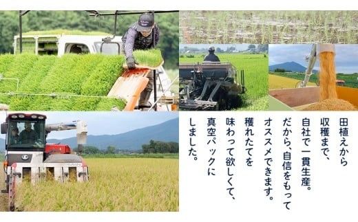 食べくらべ　精米5種　真空 450g ( 3合 ) × 2袋 × 5種類 令和7年産 米 お米 コメ 茨城県 新生活 応援 コシヒカリ ミルキープリンセス にじのきらめき つきあかり まんげつもち 餅米 食べ比べ　 [EX002ci]