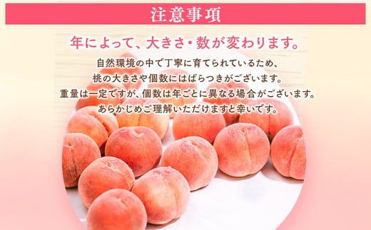 ◆2026年夏発送◆紅国見～産直・桃・約5kg～ ※離島への配送不可 ※2026年7月上旬～7月下旬頃に順次発送予定 ｜ 先行予約 予約 数量限定 桃 もも モモ 果物 くだもの フルーツ 詰め合わせ 福島 ふくしま