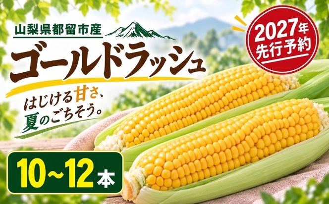 【2027年 先行予約】山梨県都留市産 ゴールドラッシュ 10～12本｜ 新鮮 朝採れ もぎたて発送 甘い とうもろこし トウモロコシ 産地直送 送料無料【炭香ファーム】 FC001