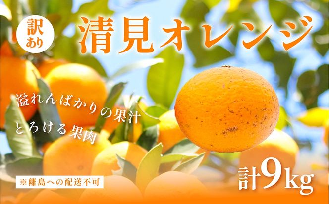 yQɕzys\z󂠂 IWv9kg ւ̔zsi2026N3{菇\j IKTAC009