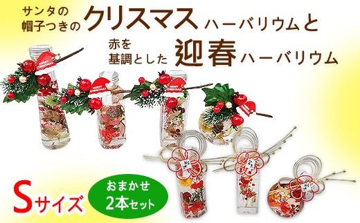 サンタの帽子つきのクリスマスハーバリウムと赤を基調とした迎春ハーバリウム　Sサイズおまかせ2本セット ｜ インテリア 植物 お花 お正月 イベント 冬 鮮やか 鑑賞 手入れ不要 ガラス 癒し ※離島への配送不可 ※2025年12月中旬～12月下旬頃に順次発送予定