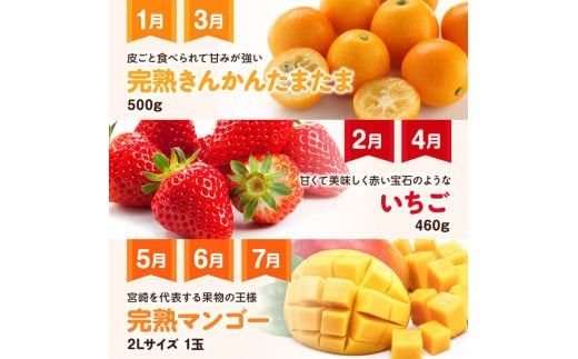  果物 【 全9回定期便 】 フルーツ 満喫 定期便 【 川南町産 くだもの きんかん いちご 完熟 マンゴー ぶどう ピオーネ シャインマスカット 】 ☆ [D11701t9]