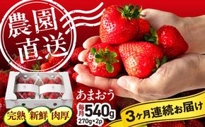 【全3回定期便】【農園直送】糸島のあまおう 270g×2パック (サイズおまかせL〜5L) 果物 フルーツ いちご / 糸島市 / 磯本農園 / TANNAL[ATB009]