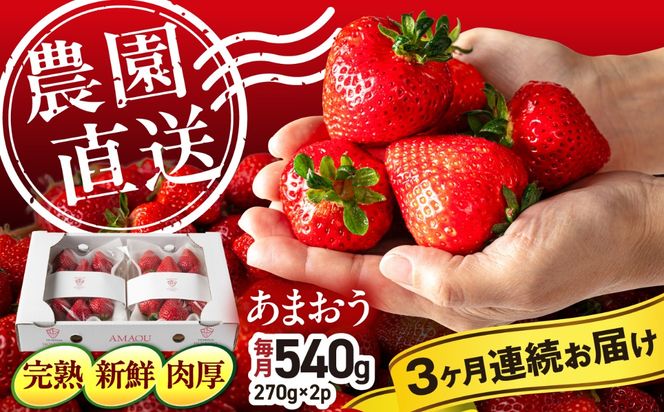 【全3回定期便】【農園直送】糸島のあまおう 270g×2パック (サイズおまかせL〜5L) 果物 フルーツ いちご / 糸島市 / 磯本農園 / TANNAL[ATB009]