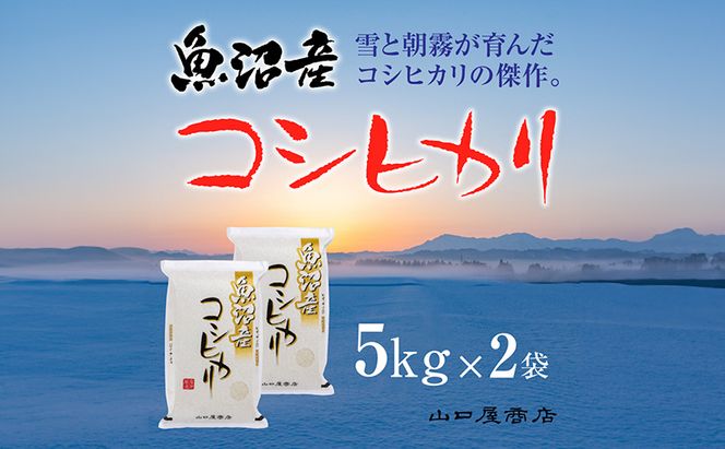 【厳選☆十日町育ち】魚沼産コシヒカリ 5kg×2袋 お米 米 コメ 
