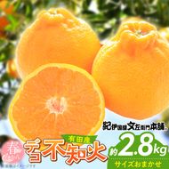 【2027年先行予約】デコ 不知火 約2.8kg 和歌山県有田産 春みかん (果実サイズおまかせ) 春柑橘 紀伊国屋文左衛門本舗_V7413
