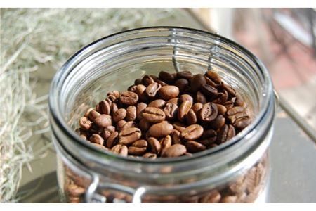 アイスコーヒー ゲイシャ種 3本 セット 糸島市 / Petani coffee [ALC009] アイス コーヒー エチオピア ギフト 贈答 プレゼント ストレート