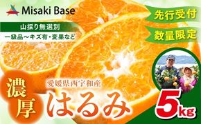 【先行受付】【数量限定】【山採り無選別】はるみ 5kg | みかん 柑橘 ミカン 蜜柑 mikan 果物 フルーツ 糖度 甘い 愛媛県 伊方町 Misaki Base ※2025年2月上旬～2月下旬頃に順次発送予定 ※離島への配送不可