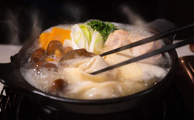 【素のまま特製】回の水餃子 5個入り×2種（プレーン・しそ）と餃子のタレセット 惣菜 冷凍 中華 野菜の甘み お肉のうまみ 手包み 朝食 あと一品 もちもち 簡単調理 