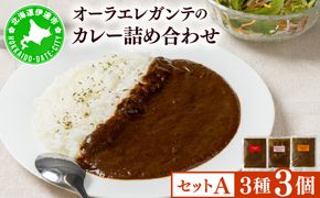 欧風カレー専門店の厨房でじっくり煮込んだカレーの詰め合わせ (冷凍)【Aセット／3個】カレーライス レトルト 詰合せ 食べ比べ オーラエレガンテ【ora-001】