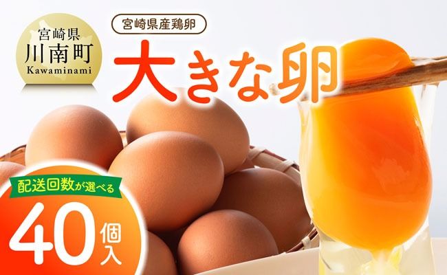 たまご ※回数が選べる※宮崎県産鶏卵 「南国からの贈り物」大きな卵40個入り(35個+破損補償5個) [たまご 卵 玉子 タマゴ] [C01401]