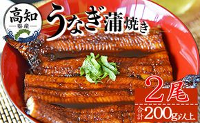 鰻 【大人気！】高知県産養殖うなぎ蒲焼き 2尾(合計200g以上) - 鰻 ウナギ fb-0142