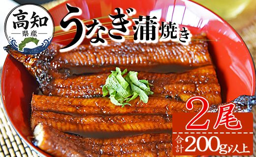鰻 【大人気！】高知県産養殖うなぎ蒲焼き 2尾(合計200g以上) - 鰻 ウナギ fb-0142