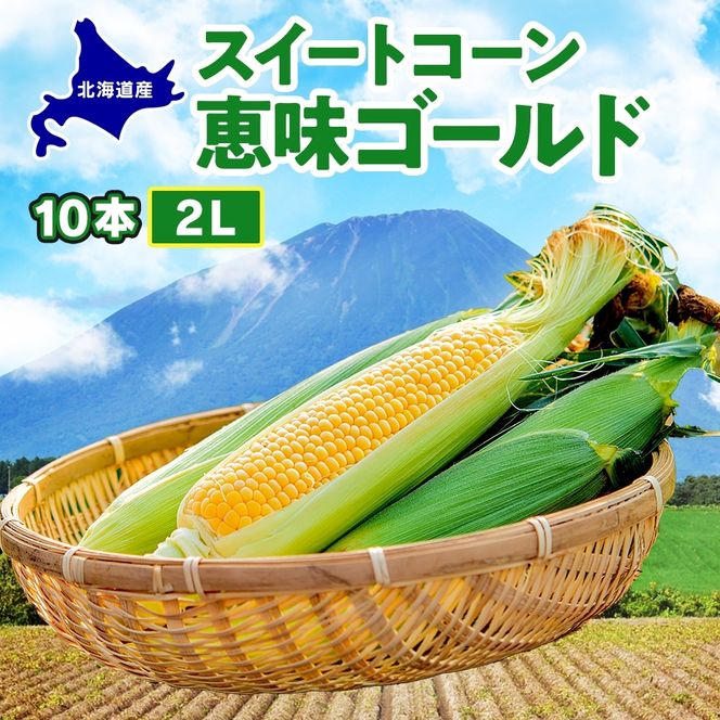北海道産 スイート コーン めぐみゴールド 2Lサイズ 10本 2027年8月中旬～下旬頃お届け とうもろこし 恵味 めぐみ トウモロコシ 旬 野菜 産地直送 お取り寄せ 北海道 丸田農園 送料無料 洞爺湖 