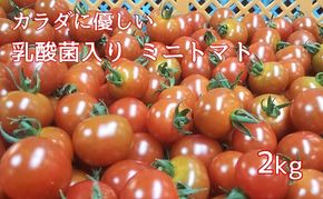 カラダに優しい「乳酸菌入り ミニトマト2kg」