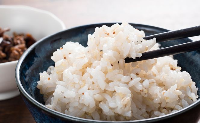 北海道産 もち麦 ごはん 180g×24食　ご飯 パックご飯 ゆめぴりか ブレンド レンジ 簡単 レンジで簡単 電子レンジ 一人暮らし 備蓄用 防災 北海道 滝川市