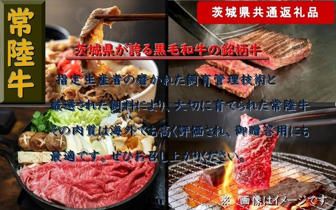 y錧sz169-26-051 y3ցzy헤zǂǁ[IƏ헤yւňقȂ镔ʂ͂ցz v3 dʖRkgi錧ʕԗijy헤@錧Y@sz