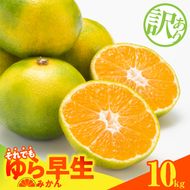 MK1066_【2026先行予約】訳あり ゆら早生 みかん 箱込 10kg ( 内容量 9.2kg ) サイズミックス 有田みかん 和歌山県産