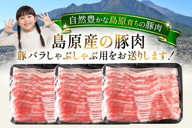 AK035 豚バラ しゃぶしゃぶ用 500g 3パック 計1.5kg [ 豚肉 小分け ぶた しゃぶしゃぶ 薄切り スライス BBQ バーベキュー 焼肉 アウトドア スターゼン 長崎県 島原市 ]
