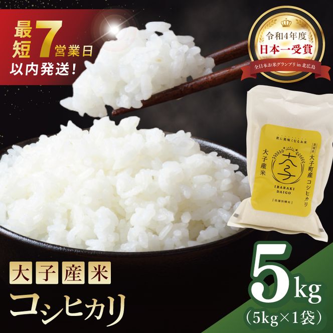 【最短7日発送】大子産米 コシヒカリ（精米）5kg|茨城県 大子町 こしひかり 白米 令和7年産 食味値 コンテスト（AV049）