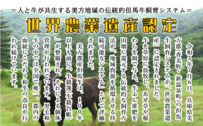 【ふるさと納税】但馬牛 ロースと赤身 店長おすすめ部位 食べくらべ 500g 肉 お肉 牛肉 ロース 牛ロース ロース肉 薄切り うす切り 赤身 各250g 食べ比べ 詰め合わせ セット 焼肉 焼き肉 BBQ バーベキュー 冷凍【配送不可地域：離島】【1242705】 兵庫県 新温泉町 送料無料