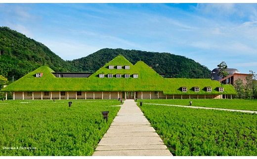 【たねや】福寿芋５個・栗饅頭５個・斗升最中５個入り【FT17W1】（滋賀県　近江八幡市）