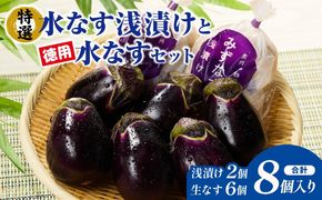 G5565 【先行予約】特選 無添加 水なす漬け 徳用水ナス セット【食べ比べ 新鮮 野菜 泉佐野産 茄子 やさい TONOファーム 高評価】