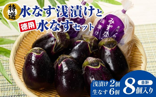 G5565 【先行予約】特選 無添加 水なす漬け 徳用水ナス セット【食べ比べ 新鮮 野菜 泉佐野産 茄子 やさい TONOファーム 高評価】