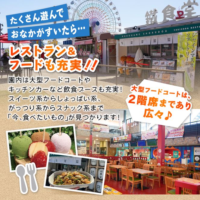 【 富士急ハイランド 】 ワンデイパス ペアチケット 富士急ハイランド 遊園地 テーマパーク