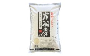 【令和7年産米】新潟県村上市 岩船産 コシヒカリ 精米 5kg 1033006