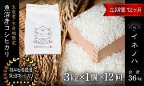 ＜定期便・全12回＞【令和7年産】魚沼産コシヒカリ「イネノハ 」精米(3kg×1)×12回 お米 白米 ご飯 産地直送 ミネラル 栄養分 こだわり 人気 新鮮 